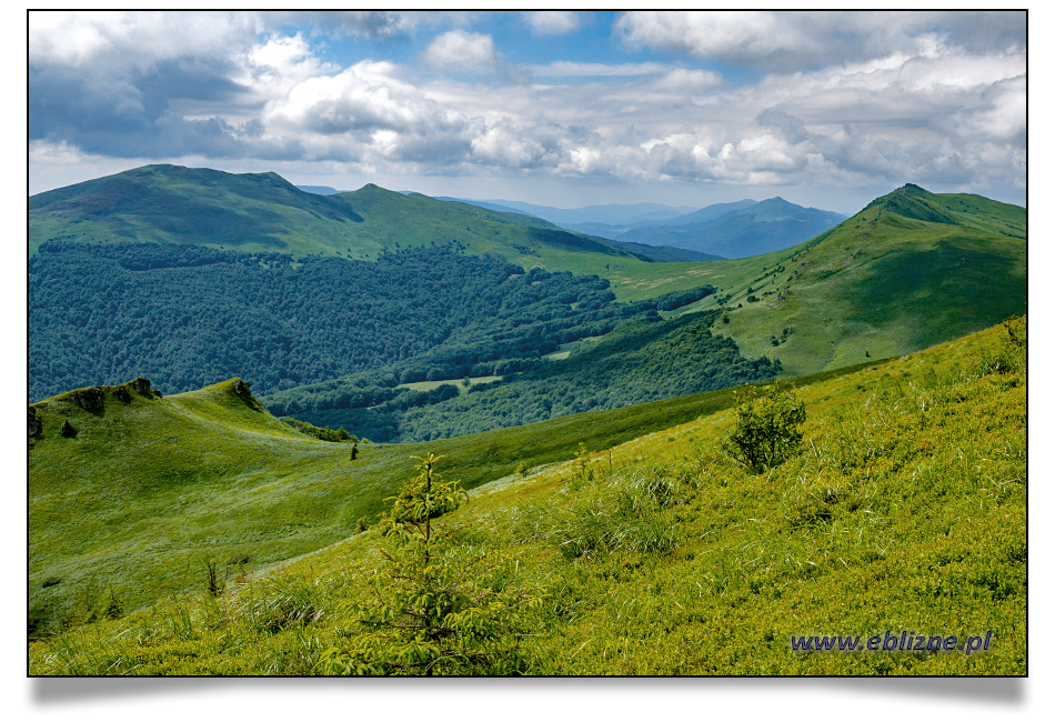 Tarnica 03 z cieniami pod zdjęciem